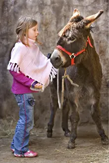 Brushed: Young girl brushing an ass Reiningue France