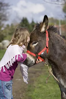 Harnessings: Young girl kissing an ass Reiningue France