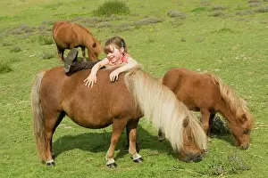 Minature: Young girl mounting Shetland Pony