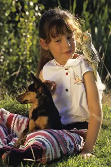 Pinschers: Young girl with Pinscher dog and Cockatiel
