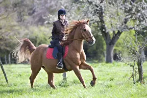 Helmets: Young girl riding a horse Reiningue France