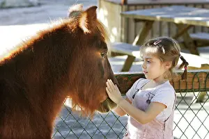Stroking: Young girl - stroking pony