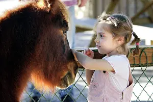 Stroking: Young girl - stroking pony, looking at eachother