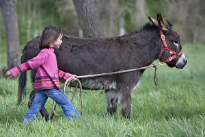 Ropes: Young girl walking an ass Reiningue France