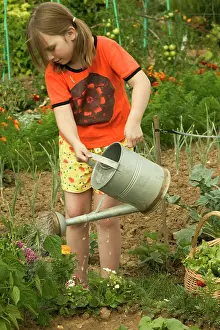 Allotment: Young Girl - with watering can watering vegetable