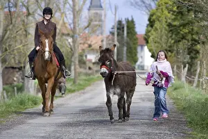 Promenade: Young girls walking a donkey and a horse Reiningue France