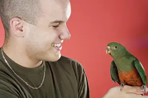 Alisterus: Young Man with Baby King Parrot