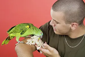 Aestiva: Young Man with Blue-fronted Amazon Parrot