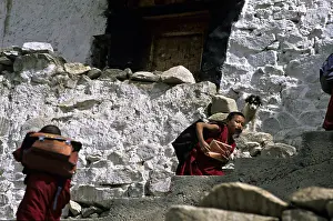 Stair: Young monks and dog Monastery Thiksey Leh India