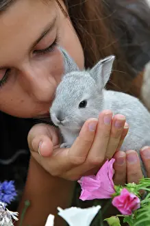 Cuniculus: Young rabbit into the hand of a little girl