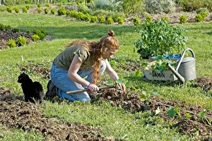 Seedlings: Young red-haired girl planting crookneck squash in a garden