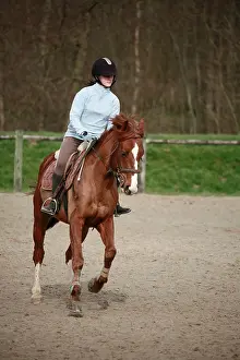Galloped: Young rider galloping on horseback France