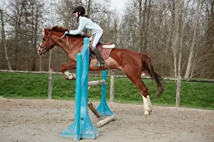 Stadium: Young rider jumping an obstacle with his Horse France