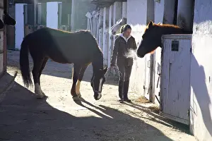 Stables: A young rider looking for his horse in the stable