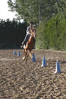 Obedience: Young rider performing an exercise in slalom