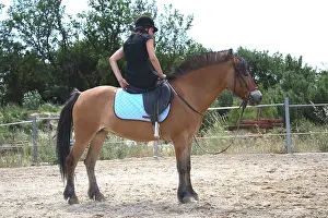 Insensitive: Young rider performing a relaxation exercise