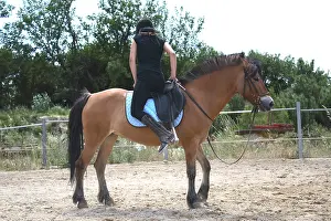 Exercise: Young rider performing a relaxation exercise
