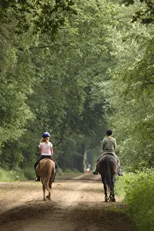 Packing: Young riders on a forest trail at spring Netherlands