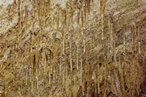 Speleothems: Young Stalactites