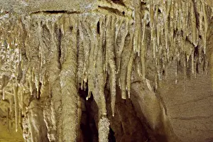 Speleothems: Young Stalactites