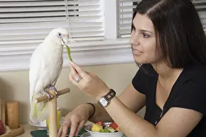 Cacatua: Young Woman Feeding Bare-eyed Cockatoo