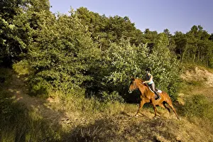 Express: Young woman galloping on a horse Half-Arabian France