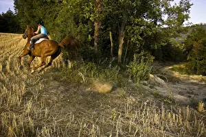 Express: Young woman galloping on a horse Half-Arabian France