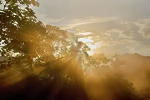 Yungas: Yungas Rainforest - sunset in tropical mountain