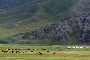 Tent: Yurt camp and Horses - Mongolia Arkhangai
