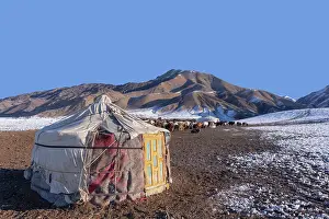 Tent: YURT, SHEEPHOLD, ALTAI MOUNTAINS