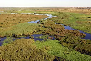 Bangweuleu: Zambia - Bangweuleu marshes