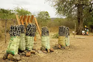 Sold: Zambia - Charcoal is sold in abundance on Zambia's