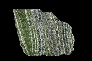 Serpentine: Zebra Serpentine