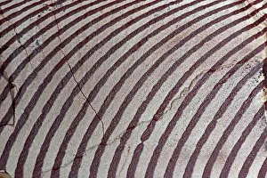 Argillite: Zebra Stone