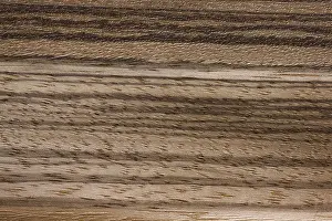 Timber: Zebrano wood (Microberlinia bisculata), African