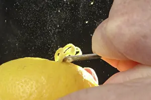 Extract: Zesting a lemon