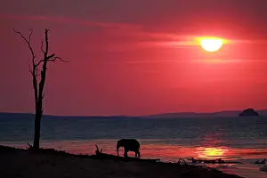 Sets: Zimbabwe, Bumi Hills. The sun sets as a