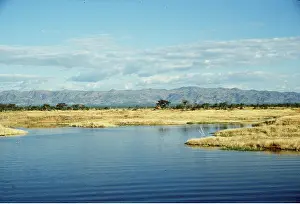 Zimbabwe: ZIMBABWE - Kariba Dam Shore