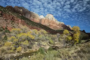 Sandstone: Zion National Park