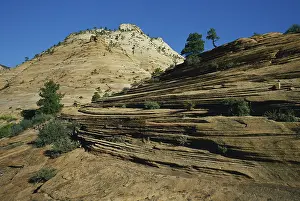 Zion: Zion National Park, Utah