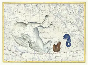 Dolphins: Zodiac sign, constellation, Pegasus