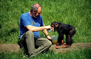 Handler: ZOO - KEEPER WITH CHIMPANZEE