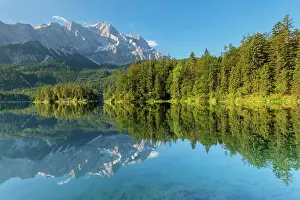 Werdenfelser: Zugspitze is reflected in Lake Eibsee, near Grainau