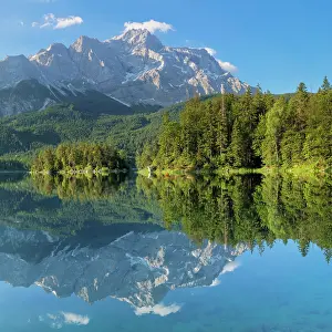 Werdenfelser: Zugspitze is reflected in Lake Eibsee, near Grainau